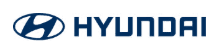 Shell & Hyundai logo
